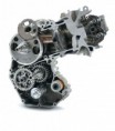 Motor 390 enduro 